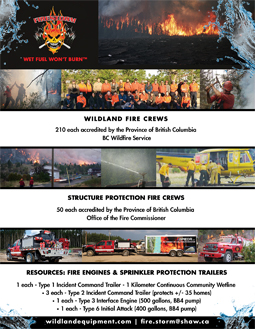 Firestorm Company Profile