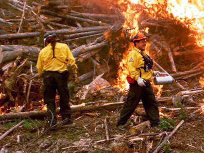 Firestorm team prescribed fire