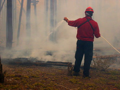 Wildland Fire Fighting Service