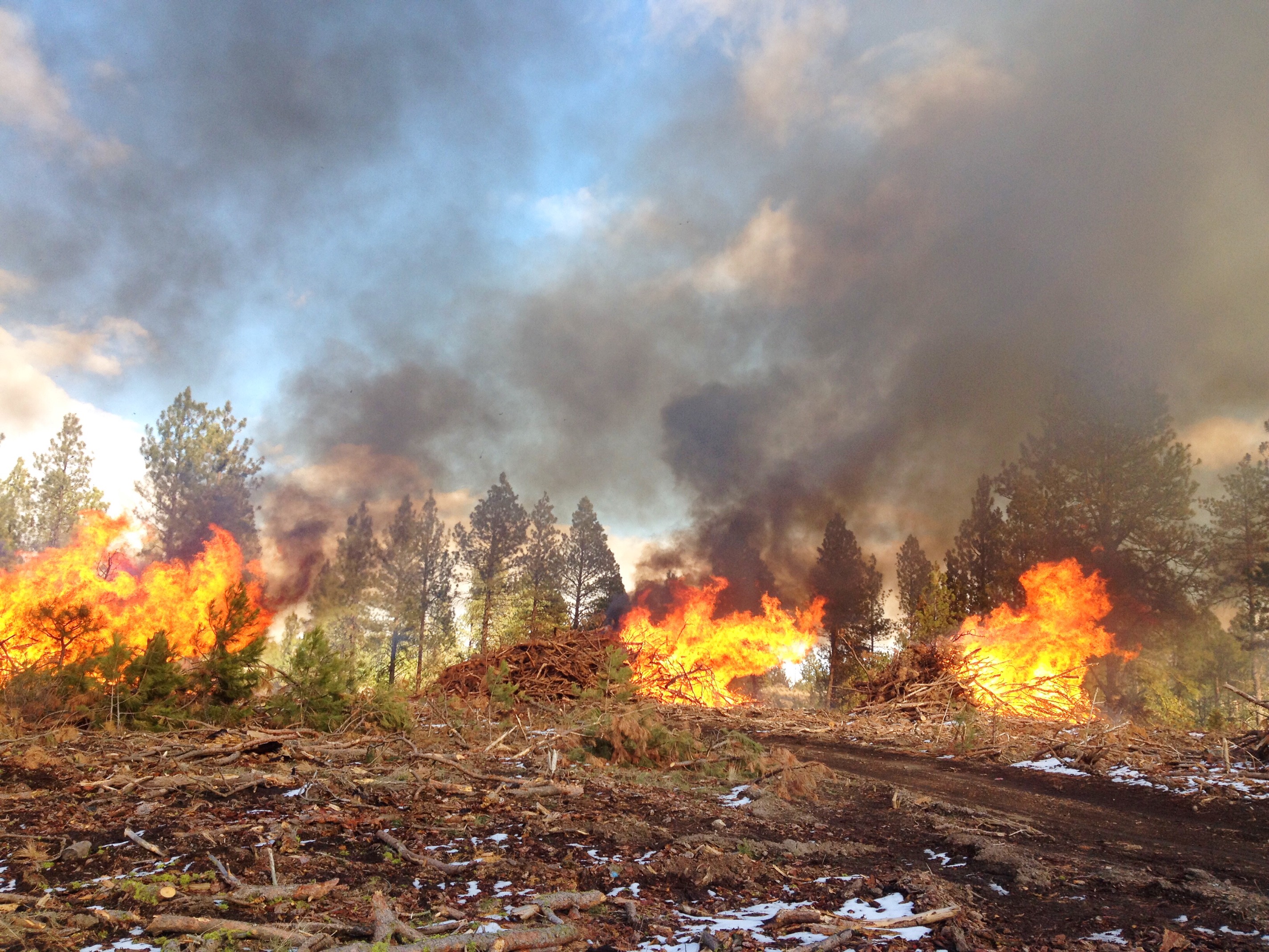 Slash Pile Burning in action