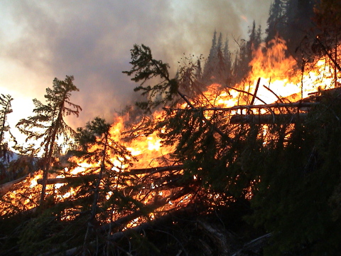 Forest Fire Expanding Faster