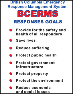 Talk to Firestorm about their BCERMS Goals